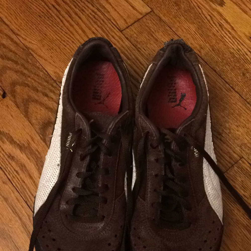 Pumas - RARE - Picture 5 of 6